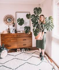 The plant just sits there, doing their best. Monstera Deliciosa A Quick Plant Care Guide Connie And Luna