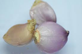 Check spelling or type a new query. Bawang Merah Wikipedia Bahasa Indonesia Ensiklopedia Bebas