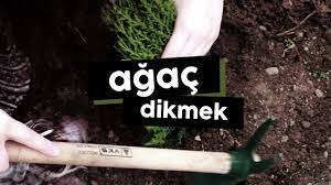 Âhiret ticareti için birer sevap kazandırma. Agac Dikmek Youtube