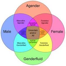 54 Best Visualizing Gender Identity Binaries Spectrums