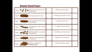 Bristol Stool Chart Meanings