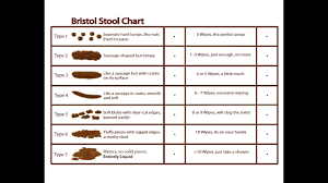 bristol stool chart meanings