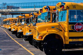 Image result for School Bus Yellow 2018 Fleet
