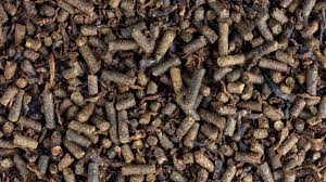 We did not find results for: Alfalfa Pellets Vs Cubes What S Better For Your Horses
