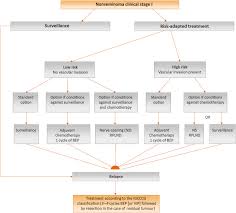 Apr 09, 2019 · testicular cancer is a disease in which malignant (cancer) cells form in the tissues of one or both testicles. Guidelines On Testicular Cancer 2015 Update European Urology
