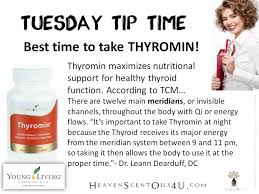 Pin On Yleo Supplements