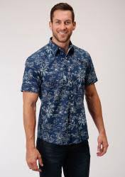 Image result for Slate Blue 1972 Roper