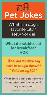 50 funny memes & quotes everyone who loves their pet can relate to. National Love Your Pet Day Show Em You Care With Quotes Captions