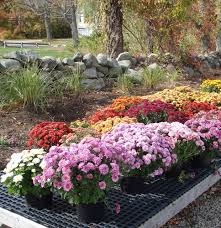 Maybe you would like to learn more about one of these? Johnson S Highland View Farm Windham 2021 All You Need To Know Before You Go With Photos Windham Nh Tripadvisor