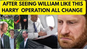 HARRY THE “HANDSOME FOX “ PLANS DRAMATIC NEW CHANGE #princeharry #change  #meghan