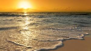 May 25, 2021 · beach walk market. What S The Difference Between The Beach And The Shore Mental Floss