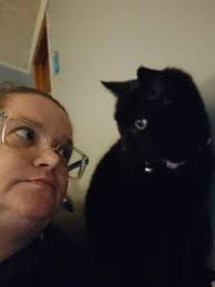 Lost cat Salem in Saxony and Hauss area of Eastpointe Michigan