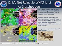 Nws Albuquerque On Twitter Radar Grasshopper Clouds