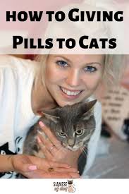 You simply put the pills inside the cap, close it, and then you either hide in the food or give it by hand. How To Give Your Cat A Pill Quick Tips Tricks Siamese Of Day Cats Kitten Care Every Dog Breed