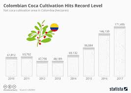 Chart Colombian Coca Cultivation Hits Record Level Statista