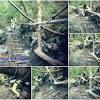 栗松溫泉 lisong hot spring haiduan xiang •. Https Encrypted Tbn0 Gstatic Com Images Q Tbn And9gcruyakf3qotvc5evedpt3joo9ntkxl6ewq0utyfpo0m0huqvi76 Usqp Cau
