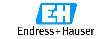 Endress+hauser manufactures flow, level, pressure, temperature and analytical instrumentation. Endress Iwa Young Water Professionals