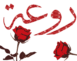 شركة تنظيف خزانات بالمدينة المنورة Art