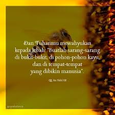 Jika anda membutuhkan surat ini dalam format mp3, anda dapat jawaban: 230 Juz 14 Quran Surat 16 An Nahl 66 70