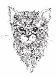 We did not find results for: Kleurplaat Poes 81 Leukste Katten En Poezen Kleurplaten
