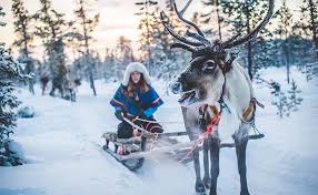Het grootste land van scandinavië telt zo'n 96.000 meren en. Vakantie Zweden In De Winter En Zomer Specialist Voigt Travel