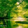 Areas for campground camping at talladega national forest. Https Encrypted Tbn0 Gstatic Com Images Q Tbn And9gcrhtyzojjushvxeyiqe1xhe Jqzskj0qcnbjmfrujixxw2gyudf Usqp Cau