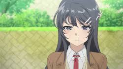 Https Encrypted Tbn0 Gstatic Com Images Q Tbn And9gcrlk192cm48blmzewn Mxbbzcoogp13sateyq Usqp Cau Seishun buta yarou series images. 2