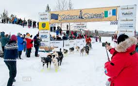 Whitehorse Daily Star Yukon Quest On Canadian Side Is Called Off