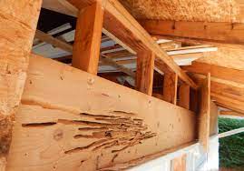I've even seen (2) 1 3/4x12 lvl headers in a 2x4 garage door wall sag while we were framing the house! Replace Overhead Garage Door Header Diy Or Hire Doityourself Com Community Forums