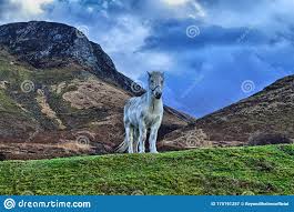 Paisajes de escocia e irlanda con musica de bruno coulais (caresse sur l'ocean) interpretada por xavier escribano (flauta) y joan lópez (guitarra). Paisajes De Escocia Isla De Arran Imagen De Archivo Imagen De Escocia Retrato 170191257