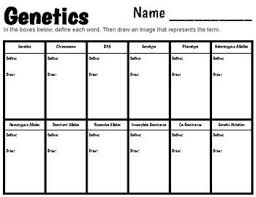 This Worksheet Covers Genetics Vocabulary The Students Will Define And Draw An Image For The Following Ter In 2020 Vocabulary Worksheets Vocabulary Science Vocabulary