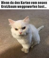 Um ein bild auf whatsapp oder facebook zu teilen, klickst oder tippst du einfach auf den button unter dem gewählten bild und folgst den anweisungen. U D Aus R S On Twitter Schonen Guten Morgen Ihr Schnuckelchen Einen Schonen Sonntag Wunsche Ich Euch Kalt Ist Es Noch Aber Das Wird Sich Ja Nun Hoffentlich