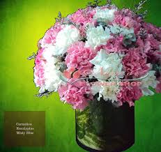Elora florist mantap betul proses cepat padahal pesen baru tadi siang jam 12 jam 3 sudah sampai dan hasilnya pun memuaskan trbaik lah pokoknya thanks elora florist. Nene Flowershop Nene S Flowershop