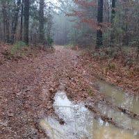 Glampers at this sam houston national forest cabin will find their rental fully equipped with enough tables and chairs to allow 40 people to relax in style. Cozy Cabin In The Sam Houston National Forest Hunting Leases Huntinglocator Com