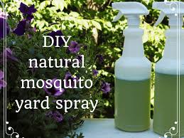 How To Make Homemade Organic Mosquito Yard Spray Dengarden
