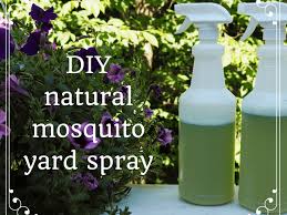 Garden pest control and homemade bug sprays. How To Make Homemade Organic Mosquito Yard Spray Dengarden