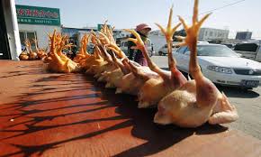 The cdc recommends workers involved in avian influenza disease control and eradication activities should also get the current season's human general influenza vaccine. Azdfzson 0n7km