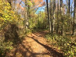 We did not find results for: File Fort Lee Historic Park Hiking Path Jpg Wikipedia