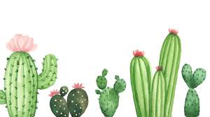 February 17, 2021april 1, 2020 by admin. 14 Cactus Background On Wallpapersafari