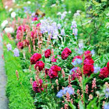 Located at 504 broadway in idaho falls, idaho. Aladdins Floral Your Florist In Idaho Falls Idaho Id