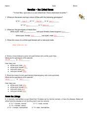 Sex Linked Traits Worksheet F09 Sex Linked Traits Worksheet Name Period Date Show Work For Each Problem In Fruit Flies Eye Color Is A Sex Linked Trait Course Hero