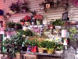 Maybe you would like to learn more about one of these? Florists