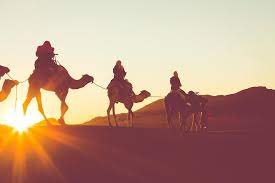 Czech german croatian italian dutch french spanish danish latin finnish swedish norwegian russian indonesian. Sunset Or Sunrise Camel Ride In The Sahara Desert Of Douz 2021 Tunisia
