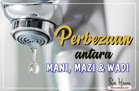 Selagi kita belum berkahwin dengan lelaki itu, selagi kita tidak tinggal serumah dan selagi itulah kita tidak mengenali luar dalam seseorang itu. Perbezaan Antara Air Mani Mazi Dan Wadi Yang Wajib Untuk Diketahui