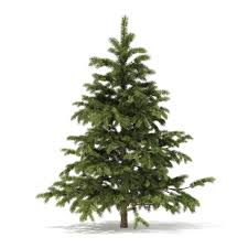 Pine Tree 3d Model 2 3m 3d Model Ad Tree Pine Model Tree Nature Tree Plant Wallpaper