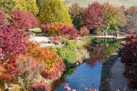 Mayfield Garden Posts Facebook