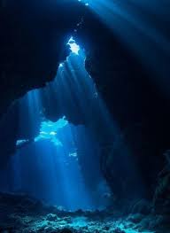 Coral Reef Love Board Sunlight On Beach Love Australia On Pinterest Underwater World Beautiful Nature Pictures