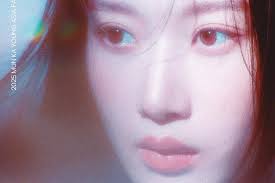 Controversy Raised Over Shinhwa Andy's Fan Meeting in China