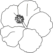 Free Printable Hibiscus Coloring Pages For Kids Jump to navigation jump to search.