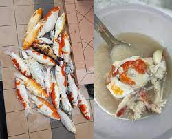 Then, pack it in a plastic seal bag and then bury it in the garden soil it also depends on that how much time the dead fish is lying inside the water. Pet Food Malaysian Woman S Koi Soup Raises Eyebrows After She Makes Meal Out Of Dead Fish South China Morning Post